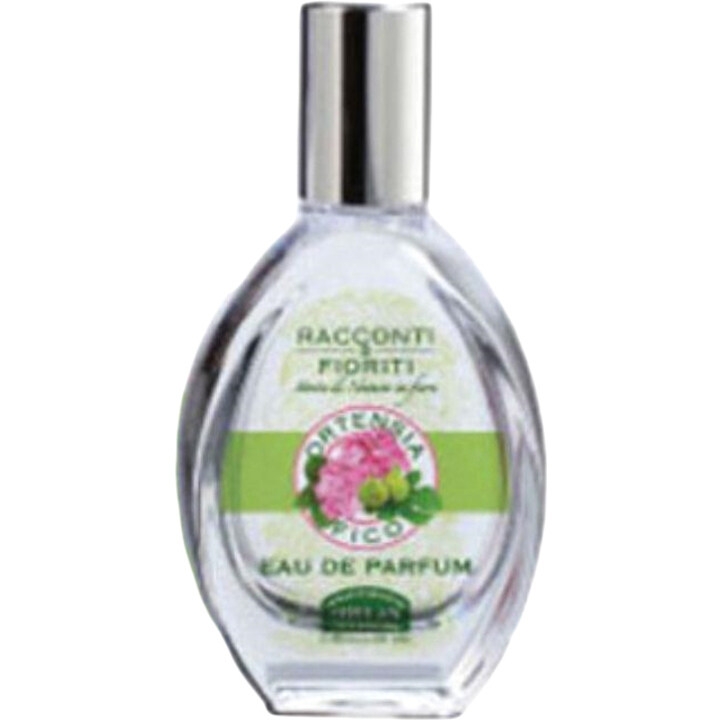 Racconti Fioriti - Ortensia Fico